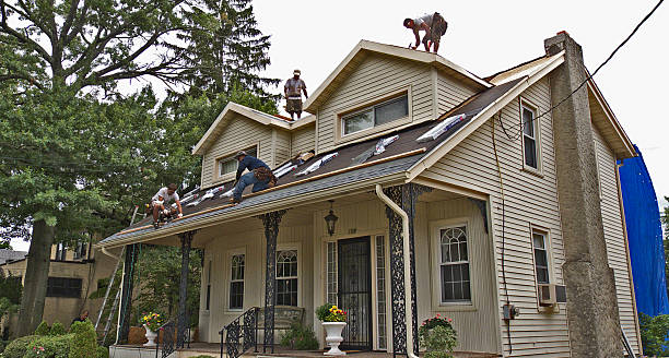 Best Storm Damage Roof Repair  in Grandview, MO